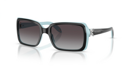 Ochelari de soare Tiffany&Co TF4047B 80553C