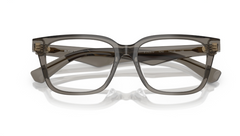 Rame de ochelari Burberry BE2425D 4242