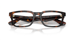 Rame de ochelari Burberry BE2428U 3002