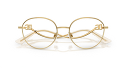 Rame de ochelari Dolce&Gabbana DG1365 02
