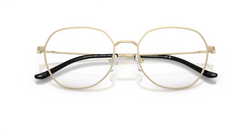 Rame de ochelari Emporio Armani EA1174D 3013