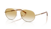 Ochelari de soare Emporio Armani EA2171 30022Q