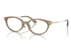 Rame de ochelari Jimmy Choo JC3029D 5051