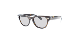 Ochelari de soare Ray-Ban RB2201 902/B1