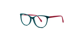 Rame de ochelari Avanglion AVO6135 470-1