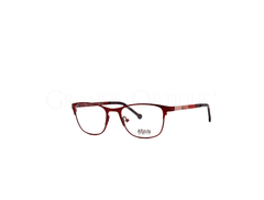 Rame de ochelari Affinty 7302 C3