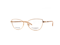 Rame de ochelari Ana Hickmann AH1413 05A