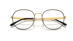 Rame de ochelari Ray-Ban RX6517D 2991