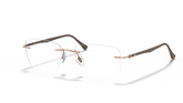 Rame de ochelari Ray-Ban RB8725 1131