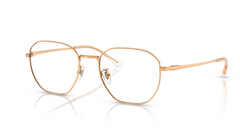 Rame de ochelari Ray-Ban RB8777D 1248