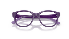 Rame de ochelari Ray-Ban RY1950 7206