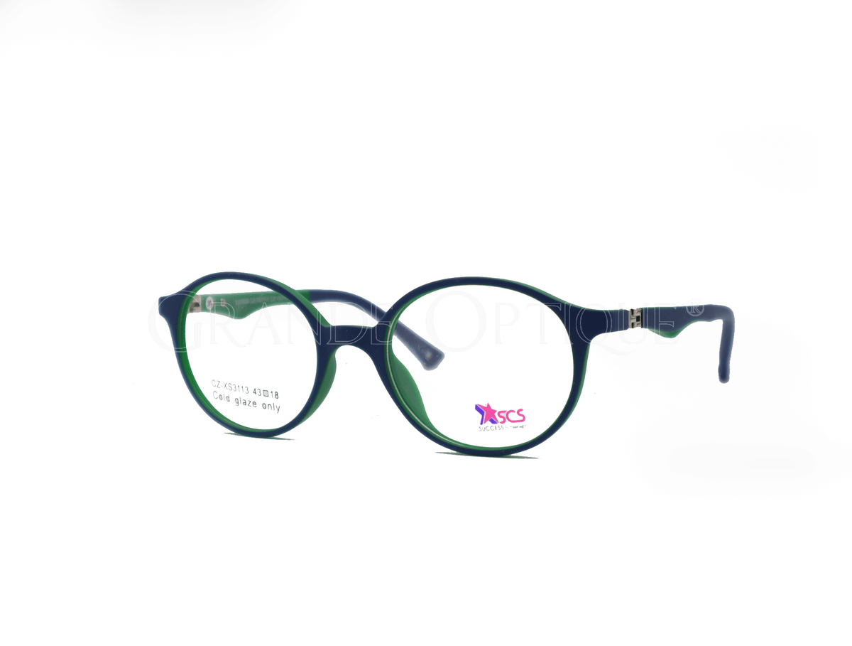 Rame de ochelari Succes 3113 C2