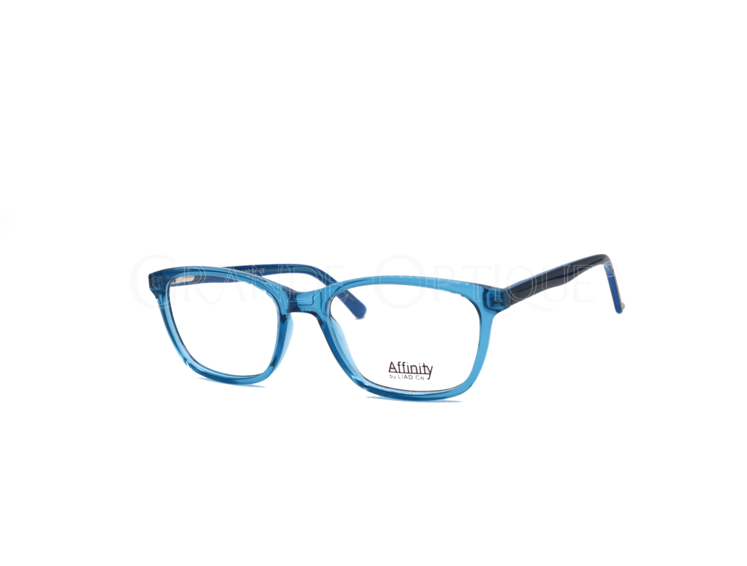 Rame de ochelari Affinty 1003 C4