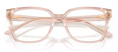 Rame de ochelari Jimmy Choo JC3038D 5052