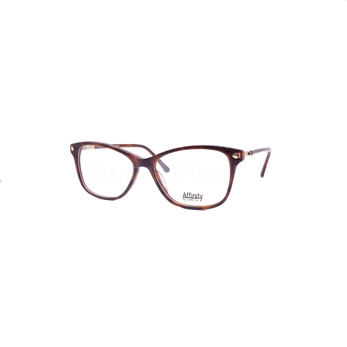 Rame de ochelari Affinty 5009 C2