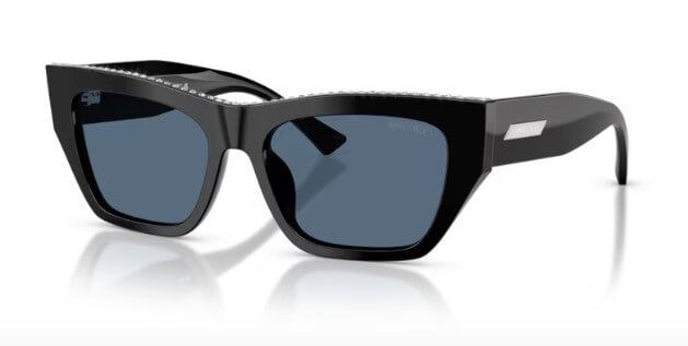 Ochelari de soare Jimmy Choo JC5035B 500080