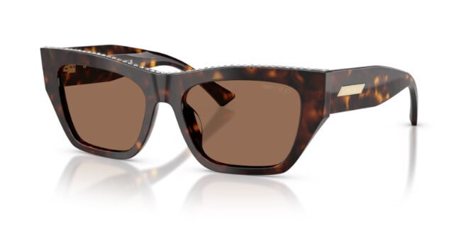 Ochelari de soare Jimmy Choo JC5035B 500273