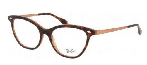 Rame de ochelari Ray-Ban RB5360 5713