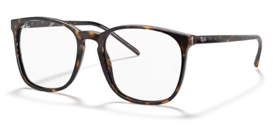 Rame de ochelari Ray-Ban RB5387 2012