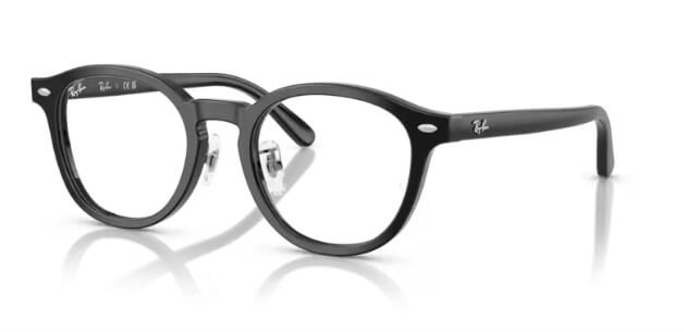 Rame de ochelari Ray-Ban RB5443D 2000