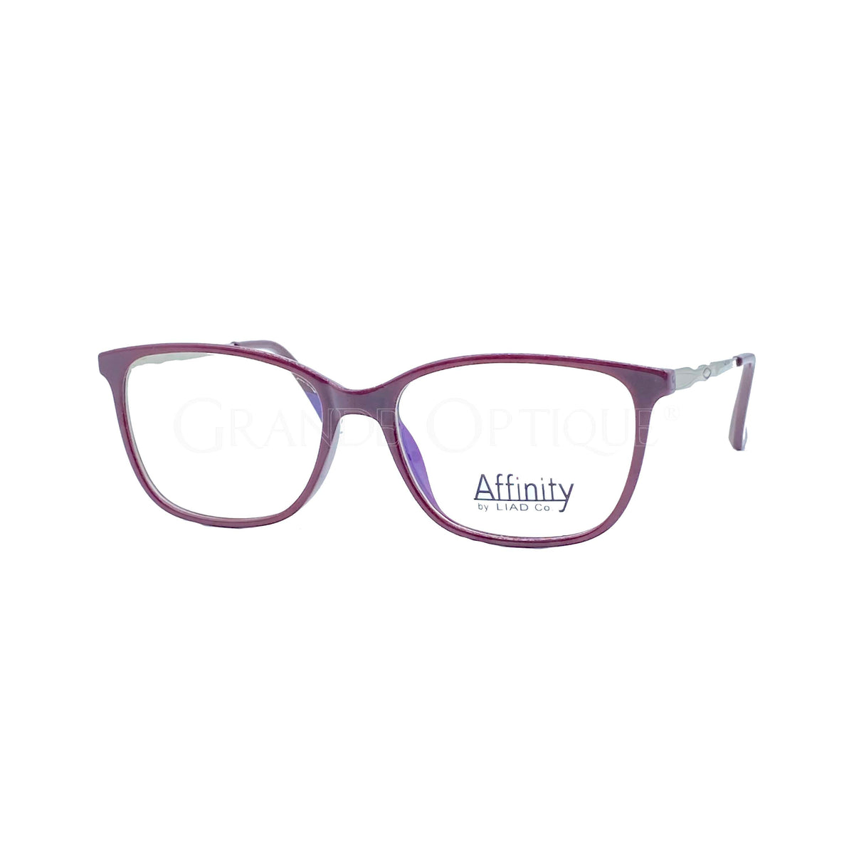 Rame de ochelari Affinity 9001 C6