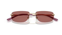 Ochelari de soare Arnette AN3096 748/69