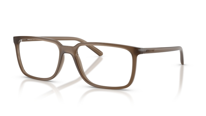 Rame de ochelari Arnette AN7280 2997