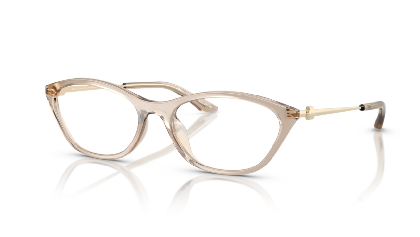Rame de ochelari Armani Exchange AX3121U 8366