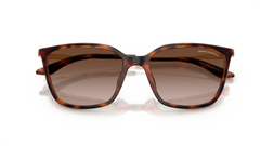 Ochelari de soare Armani Exchange AX4171SU 821313