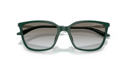 Ochelari de soare Armani Exchange AX4171SU 840911