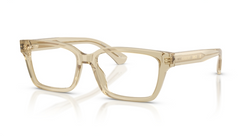 Rame de ochelari Burberry BE2453 4226