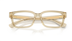 Rame de ochelari Burberry BE2453 4226