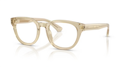 Rame de ochelari Burberry BE2454 4226
