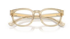 Rame de ochelari Burberry BE2454 4226
