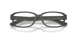 Rame de ochelari Burberry BE2461D 4233