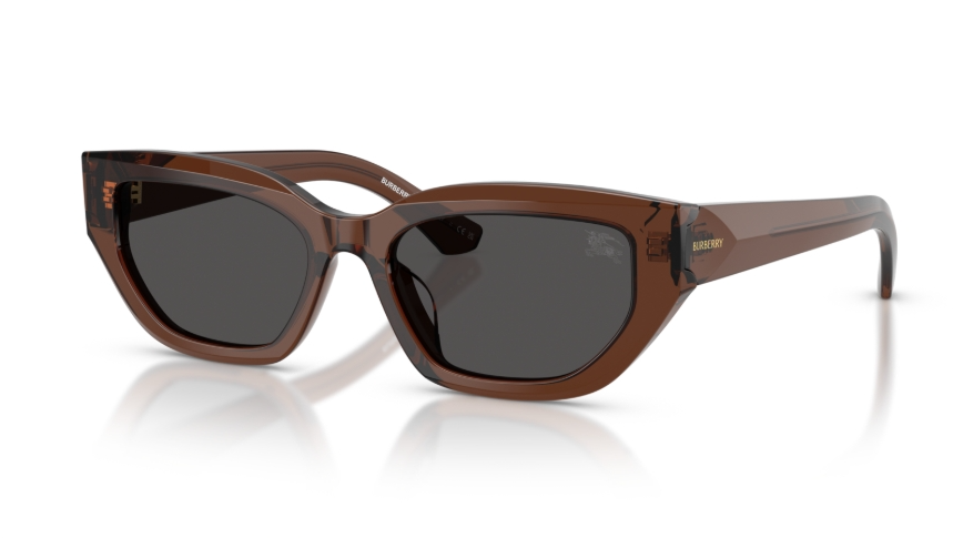 Ochelari de soare Burberry BE4463D 411687