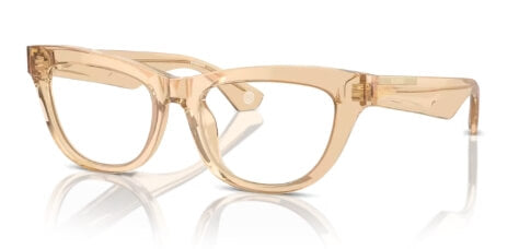 Rame ochelari Burberry BE2406U 4063