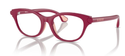 Rame ochelari Burberry JB2010U 4131