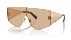Ochelari de soare Dolce&Gabbana DG2305 13655A