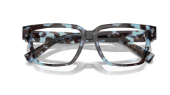 Rame de ochelari Dolce&Gabbana DG3383 3392
