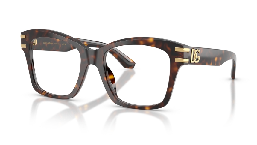 Rame de ochelari Dolce&Gabbana DG3419 502