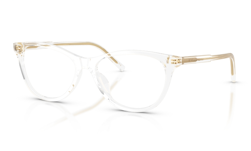 Rame de ochelari Dolce&Gabbana DG3443 3133