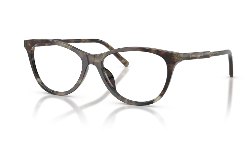 Rame de ochelari Dolce&Gabbana DG3443 3478