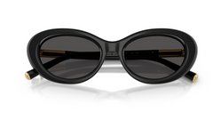 Ochelari de soare Dolce&Gabbana DG4519 501/87