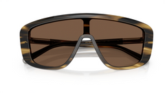 Ochelari de soare Dolce&Gabbana DG4520 306373