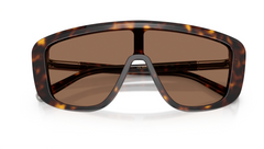 Ochelari de soare Dolce&Gabbana DG4520 502/73