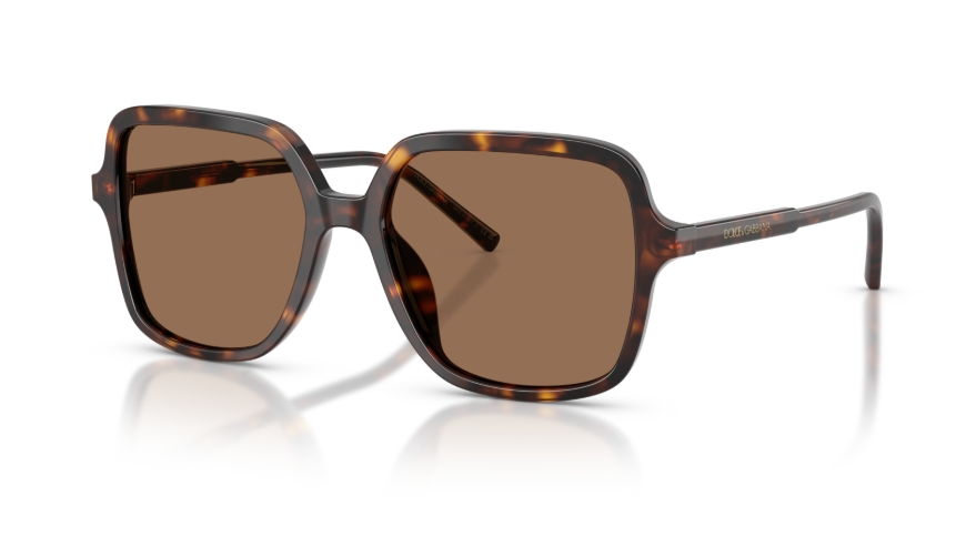 Ochelari de soare Dolce&Gabbana DG4539 502/73
