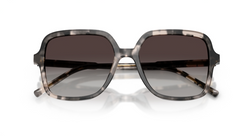 Ochelari de soare Dolce&Gabbana DG4539 31728G
