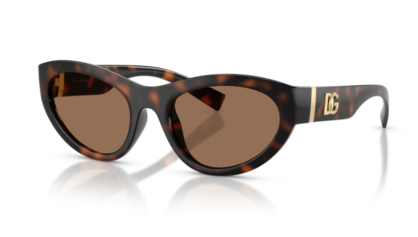 Ochelari de soare Dolce&Gabbana DG6207 502/73