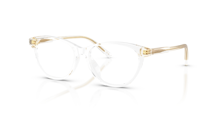 Rame de ochelari Dolce&Gabbana DX3002 3133